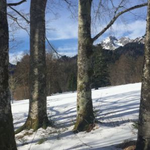 badersee-blog_auf-den-spuren-koenig-ludwig_17