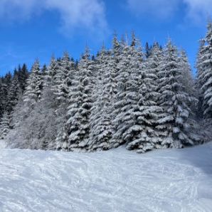 badersee-blog_kolbensattel_007