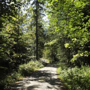 badersee-blog_wanderung_kranzberg_04