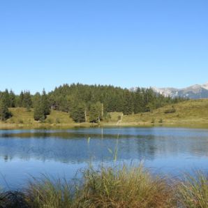 badersee-blog_wanderung_kranzberg_54