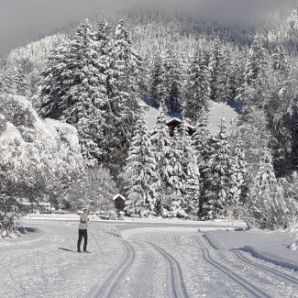 badersee-blog_langlauf-in-grainau_12