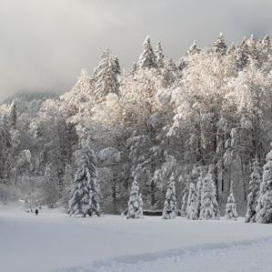 badersee-blog_langlauf-in-grainau_19