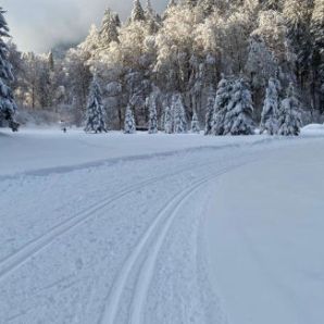 badersee-blog_langlauf-in-grainau_28