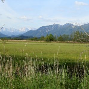 badersee-blog_murnauer-moos_002