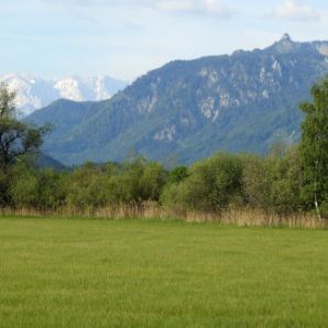 badersee-blog_murnauer-moos_005