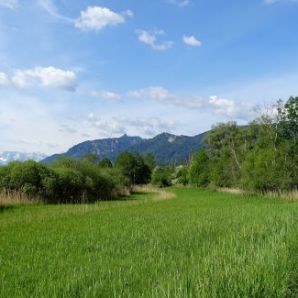 badersee-blog_murnauer-moos_018