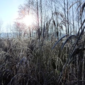 badersee-blog_murnauer-moos_046