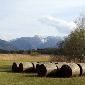 badersee-blog_murnauer-moos_061