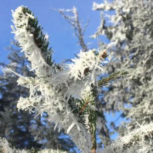 badersee-blog_schneewanderung-notkarspitze_05