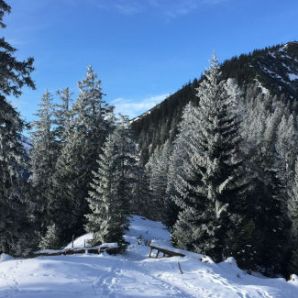 badersee-blog_schneewanderung-notkarspitze_18