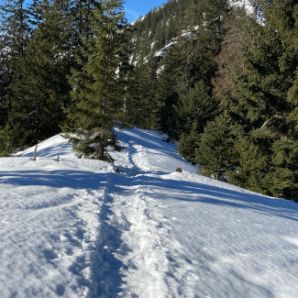 badersee-blog_schneewanderung-notkarspitze_19