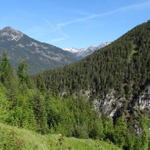 Hotel-am-Badersee_Ausflug_Orchideen_01