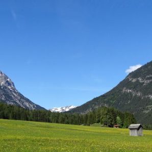 Hotel-am-Badersee_Ausflug_Orchideen_03