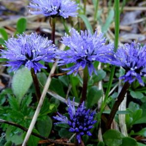 Hotel-am-Badersee_Ausflug_Orchideen_16