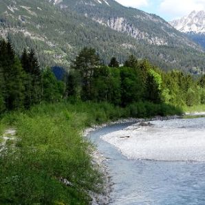 Hotel-am-Badersee_Ausflug_Orchideen_28