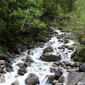 Hotel-am-Badersee_Ausflug_Orchideen_29