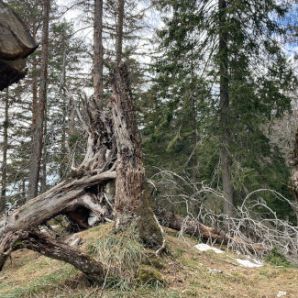 badersee-blog_osterfeuerkopf_27