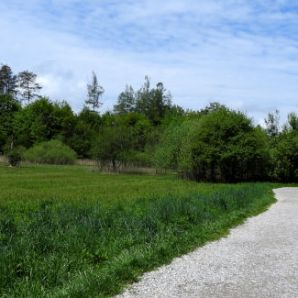 badersee-blog_ausflugstipp-osterseen_09