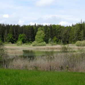 badersee-blog_ausflugstipp-osterseen_15