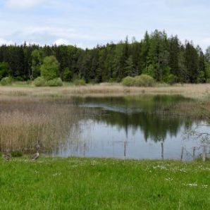 badersee-blog_ausflugstipp-osterseen_16