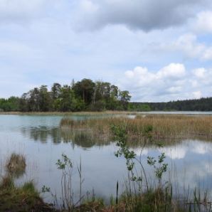 badersee-blog_ausflugstipp-osterseen_25