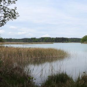 badersee-blog_ausflugstipp-osterseen_26