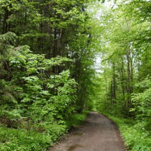 badersee-blog_ausflugstipp-osterseen_29