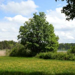 badersee-blog_ausflugstipp-osterseen_37