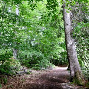 badersee-blog_ausflugstipp-osterseen_44