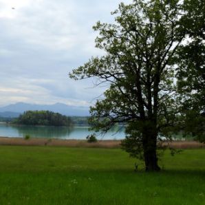 badersee-blog_ausflugstipp-osterseen_49