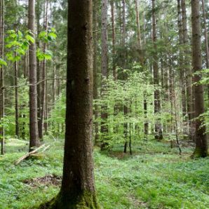 badersee-blog_ausflugstipp-osterseen_57