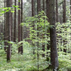 badersee-blog_ausflugstipp-osterseen_58