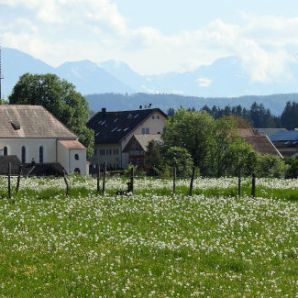 badersee-blog_ausflugstipp-osterseen_63