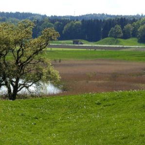 badersee-blog_ausflugstipp-osterseen_64