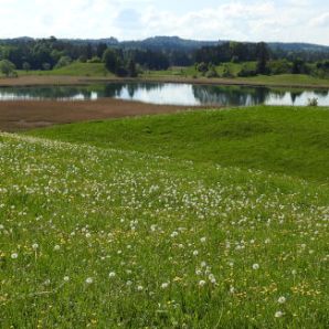 badersee-blog_ausflugstipp-osterseen_65