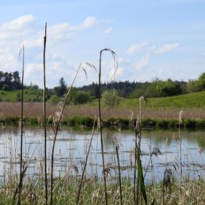 badersee-blog_ausflugstipp-osterseen_66