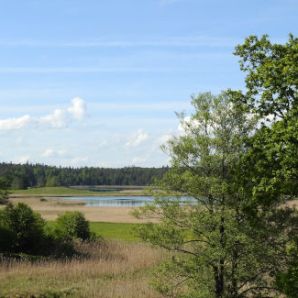 badersee-blog_ausflugstipp-osterseen_68