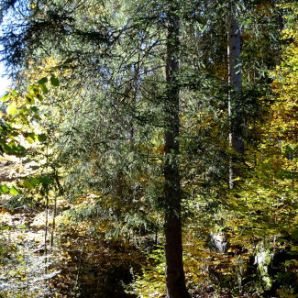 badersee-blog_panoramawege_19_neuneralm-grainau