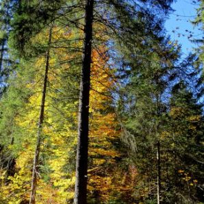 badersee-blog_panoramawege_20_neuneralm-grainau