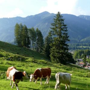 badersee-blog_panoramawege_30_neuneralm-grainau