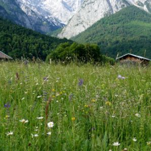 badersee-blog_panoramawege_49_hammersbacher-fussweg