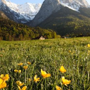 badersee-blog_panoramawege_52_hammersbacher-fussweg