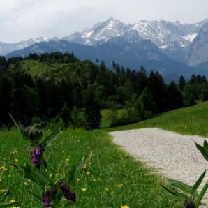 badersee-blog_panoramawege_81_philosophenweg