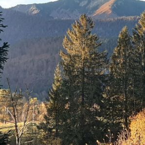 badersee-blog_panoramawege_86-1_philosophenweg