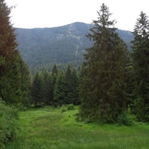 badersee-blog_philosophenweg-farchant-partenkirchen_10