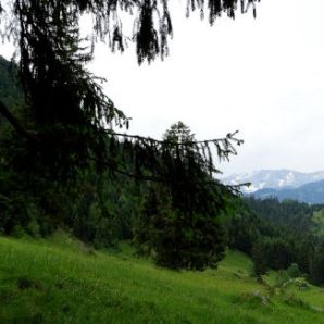 badersee-blog_philosophenweg-farchant-partenkirchen_16