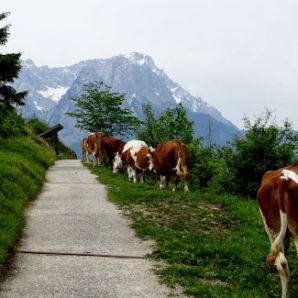 badersee-blog_philosophenweg-farchant-partenkirchen_25