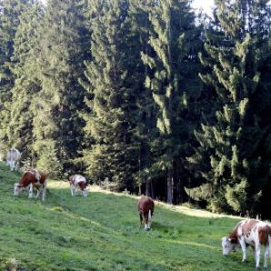 badersee-blog_wanderung-rabenkopf_03