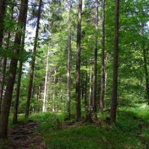 HotelamBadersee_Wanderung-Schafkopf08