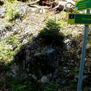 HotelamBadersee_Wanderung-Schafkopf25